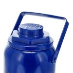gato-botella