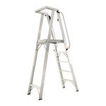 Escalera-plataforma-en-aluminio-5-peldaños-15-mt-E-Colombia