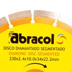 Disco-Diamantado-Abracol-9-Segment25