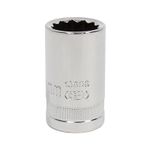 CopaCorta-Sata-15MmCte1212Ptgl13606Em6