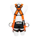 ARNES-INSAFE-4-ARG-8009-12-DIELEC-ARG-REATA-C-FAJA-LUMBA