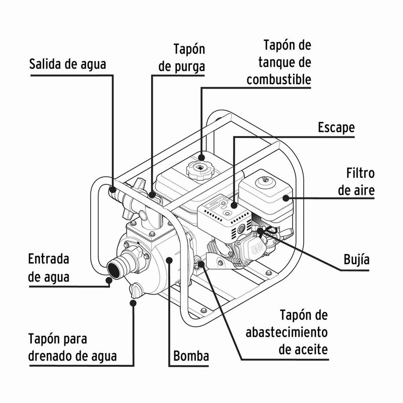 image-b1c85f2898e54203a8ef6e785c89f253