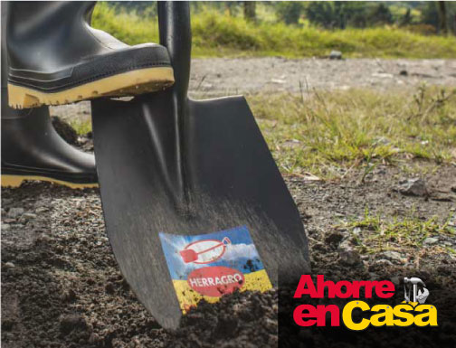 Galería 1